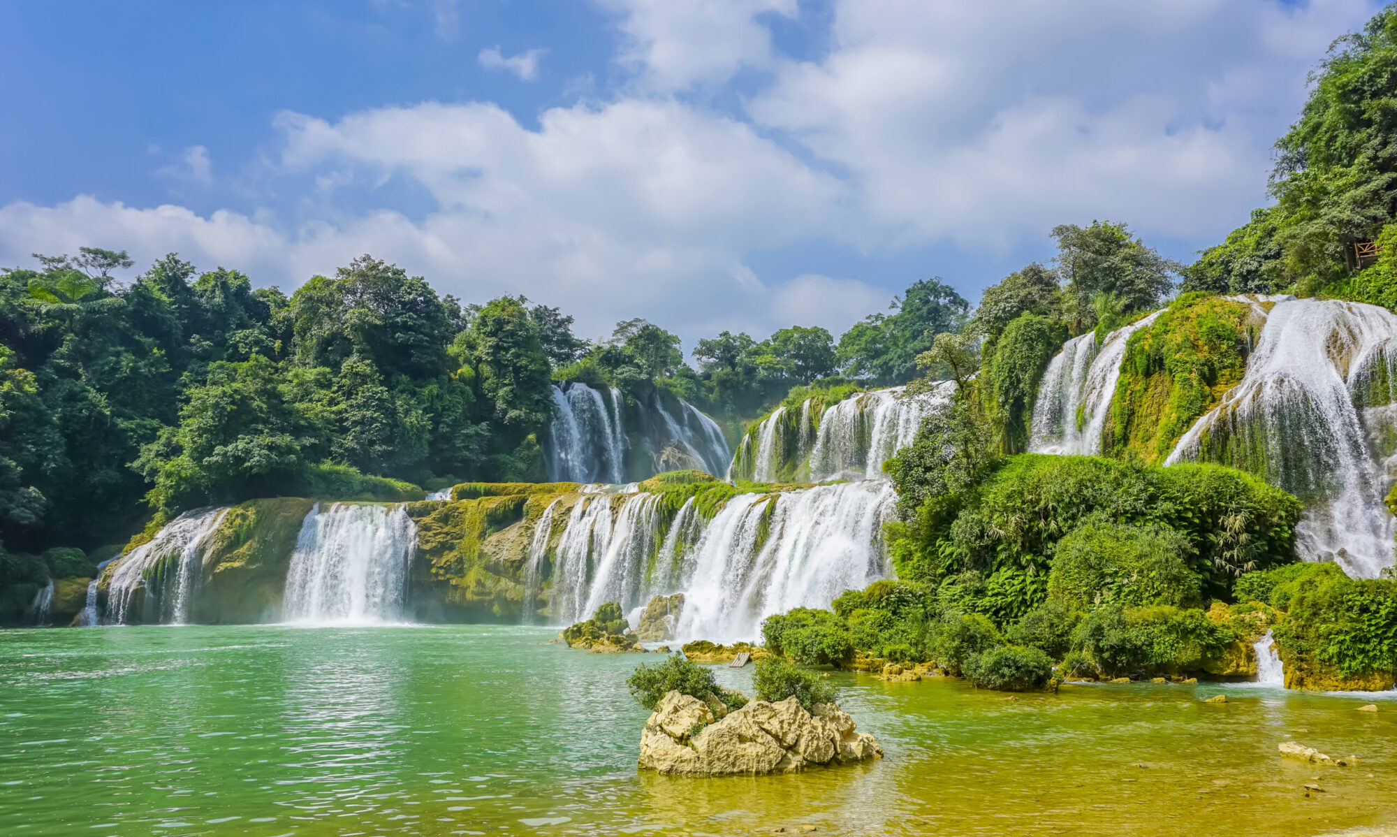 Nature, Forest, Tour, Travel, Trees, River, holidays, Avante